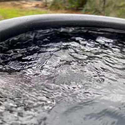 Water in a Zenwave Ice Bath
